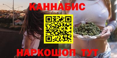 стафф Ставрополь