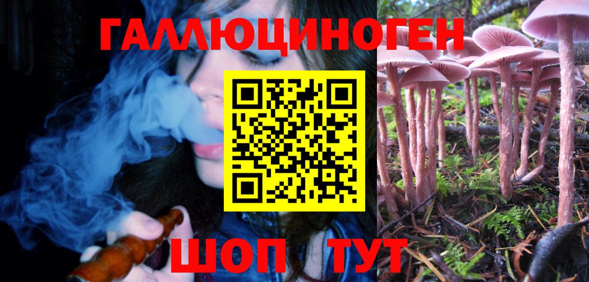 Галлюциногенные грибы мицелий  Вход с VPN  Галлюциногенные грибы Psilocybe  Ачинск 